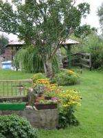 Miejsce do biesiad przy grilu