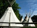 Tipi